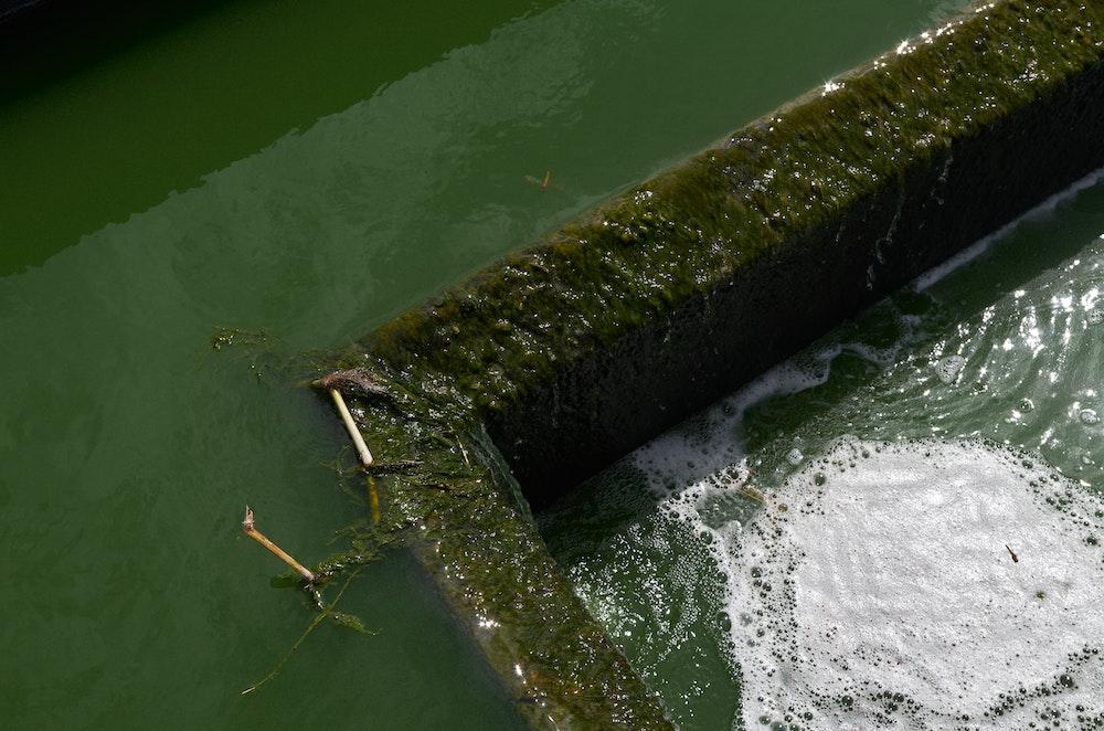 La loi sur l'assainissement des eaux usées domestiques : un enjeu majeur pour la protection de l'environnement