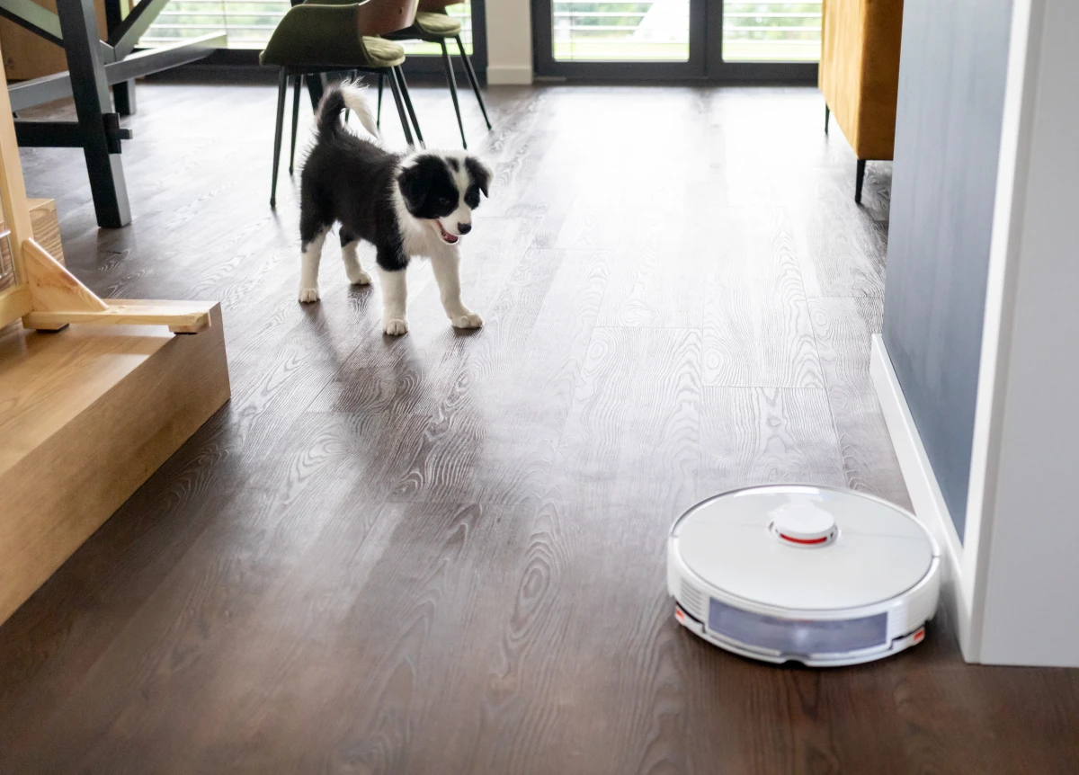 Les défis juridiques de la robotique autonome: enjeux et perspectives