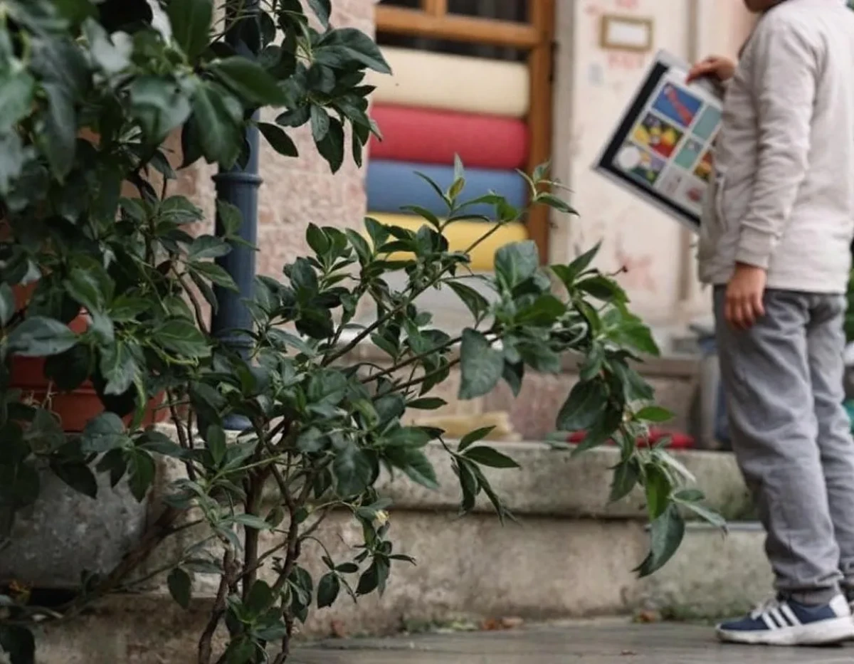 Réforme 2025 du droit de garde : les 7 critères révolutionnaires qui détermineront la résidence alternée des enfants